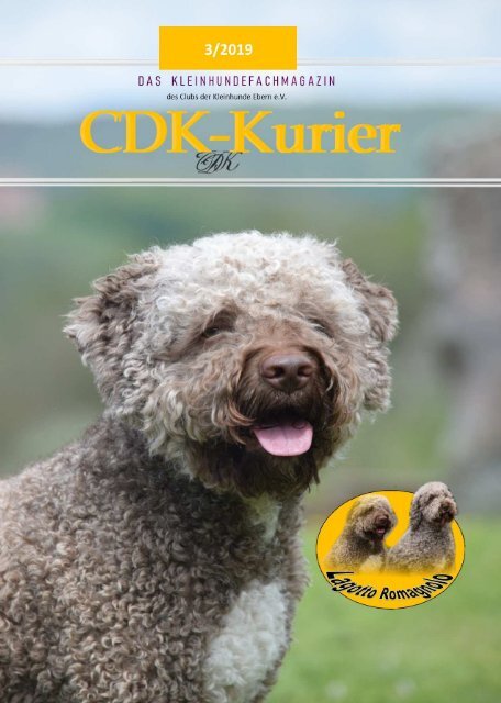 CDK Kurier Heft 3 2019 Druckversion