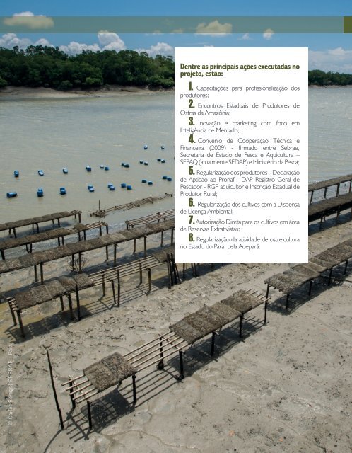 Revista Aquaculture Brasil 17ed.