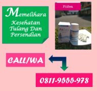 CALL/WA 0811-9662-996, Obat Herbal Nyeri Di Persendian FITSEA Di Depok