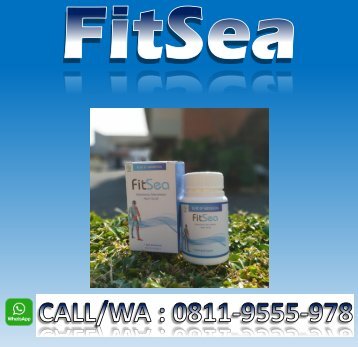 CALL/WA 0811-9662-996, FITSEA Obat Herbal Nyeri Sendi Di Kota Tangerang
