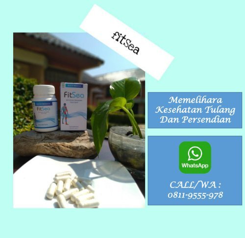 CALL/WA 0811-9662-996, FITSEA Obat Herbal Nyeri Sendi Di Kota Tangerang