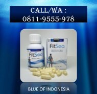 Distributor Obat Herbal Fitsea