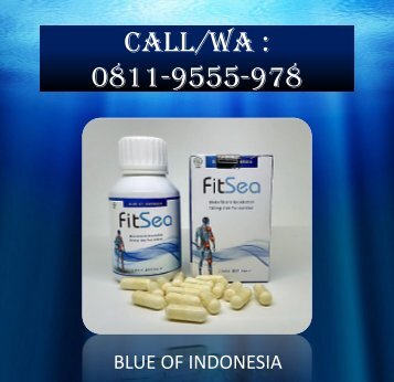 CALL/WA 0811-9662-996, FITSEA Obat Herbal Nyeri Otot Dan Sendi Di Kota Tangerang