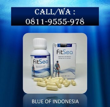 Distributor Obat Herbal Fitsea