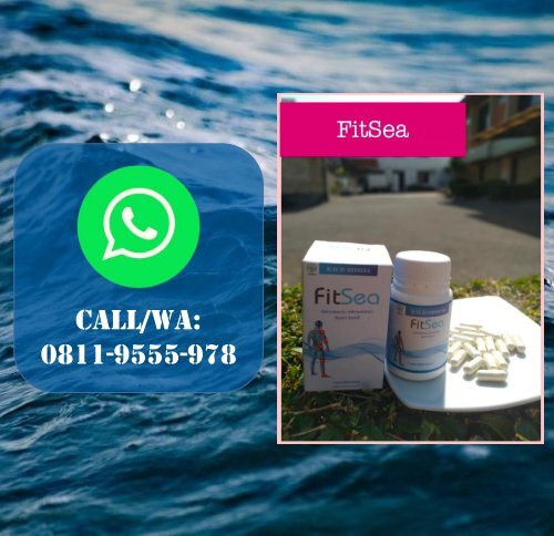 CALL/WA 0811-9662-996, FITSEA Obat Herbal Nyeri Otot Dan Sendi Di Kota Tangerang