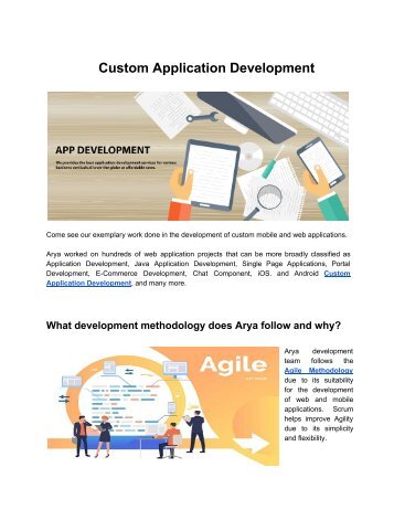 Custom Application Development Services Arya