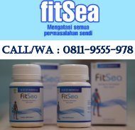 CALL/WA 0811-9555-978, Obat Herbal Nyeri Di Sendi Bahu FITSEA Jakarta Utara