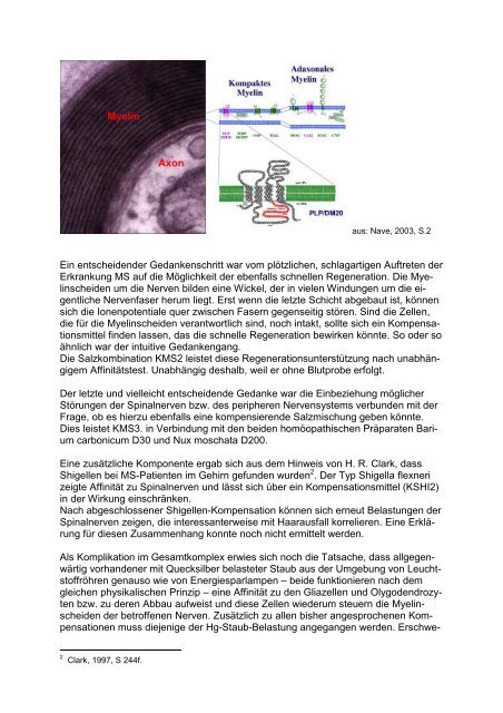 Biofeld-Methode und MS