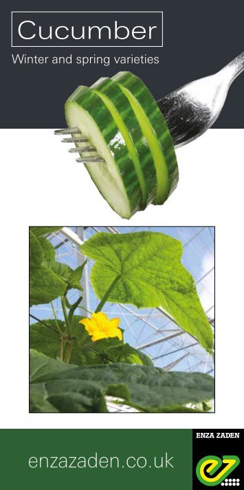 Cucumber winter and spring varieties 