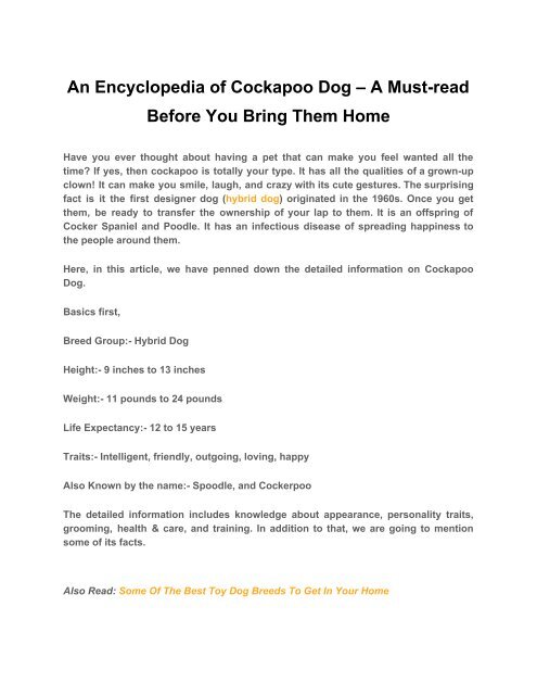 An Encyclopedia of Cockapoo Dog – A Must-read Before You Bring Them Home