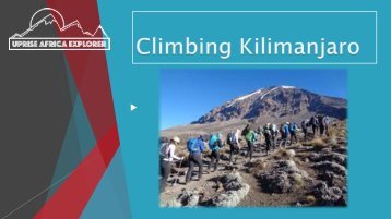 Climbing Kilimanjaro