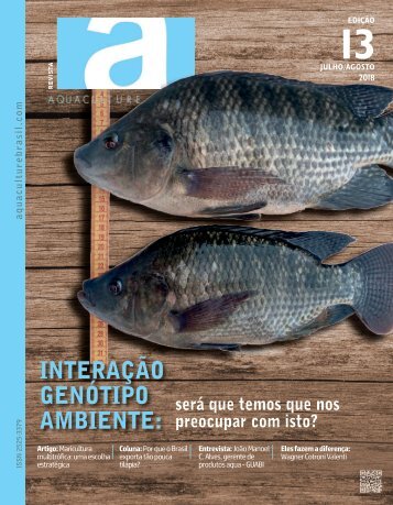 13 ed Revista Completa