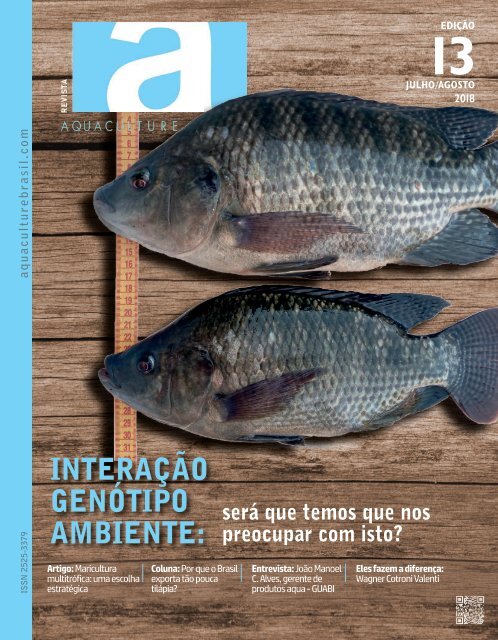 13 ed Revista Completa