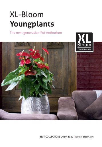XL-Bloom Youngplants magazine