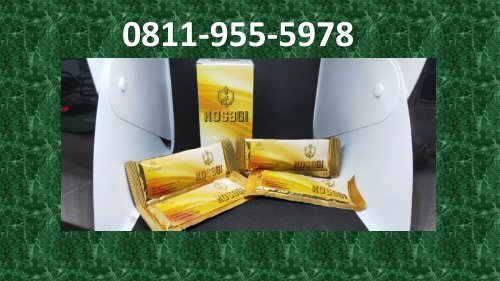 MENAKJUBKAN!!! CALL/WA 0811-9555-978 Suplemen Jaga Stamina Pria KOSAGI Kota Malang