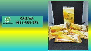 CALL/WA 0811-9662-996, Suplemen Meningkatkan Vitalitas Pria Secara Alami, KOSAGI Di Banten