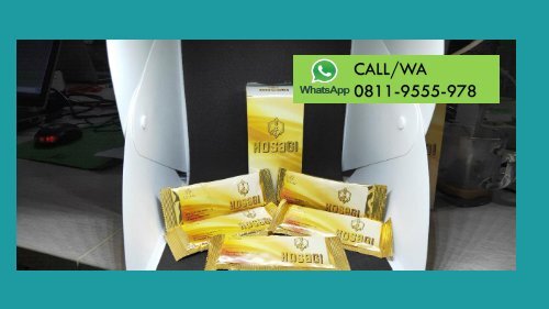 CALL/WA 0811-9662-996, Suplemen Meningkatkan Vitalitas Pria Secara Alami, KOSAGI Di Banten