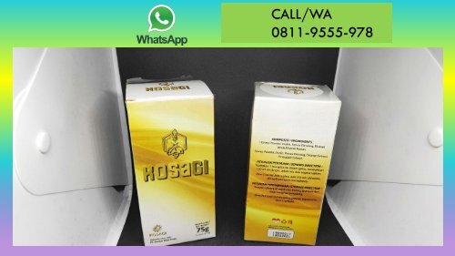 CALL/WA 0811-9662-996, Suplemen Meningkatkan Vitalitas Pria Secara Alami, KOSAGI Di Banten
