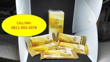 AMAN!!! CALL/WA 0811-9555-978 Suplemen Ramuan Penambah Stamina KOSAGI Gerung