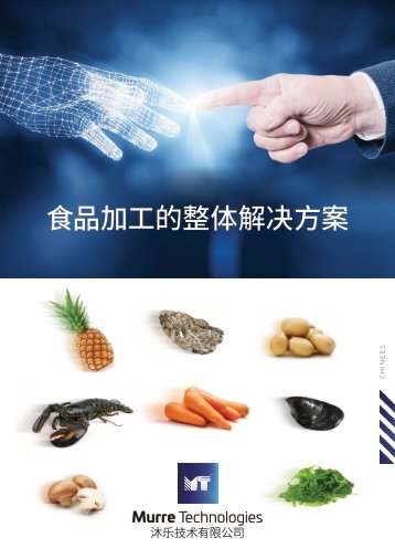 宣传册 中国 - Murre Technologies 