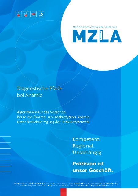MZLA aktuell 02 19 Diagnostische Pfade bei Anämie