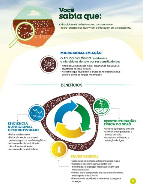  Revista Microgeo - Fechamento de Safra - 2018/2019