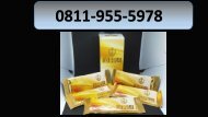 RASAKAN KHASIATNYA!!! CALL/WA 0811-9555-978 Suplemen Jaga Stamina Pria KOSAGI Lamongan