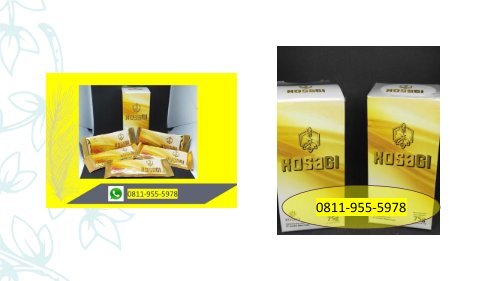 RASAKAN KHASIATNYA!!! CALL/WA 0811-9555-978, KOSAGI Suplemen Nutrisi Vitalitas Pria Di Sulawesi