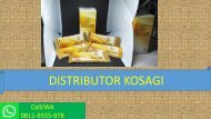 CALL/WA 0811-9555-978, Suplemen Stamina Pria Menurun, KOSAGI Sukabumi