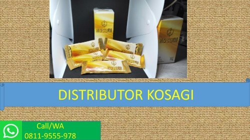CALL/WA 0811-9555-978, Suplemen Stamina Pria Menurun, KOSAGI Sukabumi