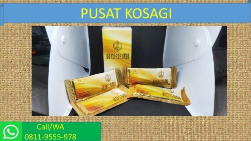 CALL/WA 0811-9555-978, Suplemen Stamina Pria Menurun, KOSAGI Sukabumi
