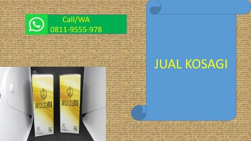 CALL/WA 0811-9555-978, Suplemen Stamina Pria Menurun, KOSAGI Sukabumi