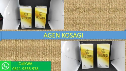 CALL/WA 0811-9555-978, Suplemen Stamina Pria Menurun, KOSAGI Sukabumi
