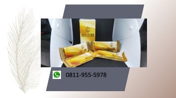 RASAKAN KHASIATNYA!!! CALL/WA 0811-9662-996, KOSAGI Suplemen Obat Stamina Pria Di Usia 60th Di Sulawesi