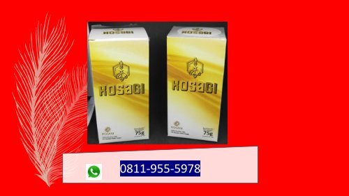 RASAKAN KHASIATNYA!!! CALL/WA 0811-9662-996, KOSAGI Suplemen Obat Stamina Pria Di Usia 60th Di Sulawesi