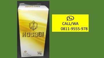 CALL/WA 0811-9555-978, Suplemen Meningkatkan Vitalitas Pria Secara Alami, KOSAGI Di Aceh