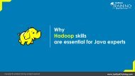 Why Hadoop skills are essential for Java experts