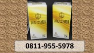EKSLUSIF!!! CALL/WA 0811-9555-978 Suplemen Herbal Vitalitas Pria KOSAGI Di Madiun