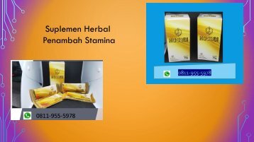 RASAKAN KHASIATNYA!!! CALL/WA 0811-9555-978, KOSAGI Suplemen Nutrisi Vitalitas Pria Di Palu