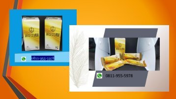AMAN!!! CALL/WA 0811-9555-978, KOSAGI Suplemen Nutrisi Untuk Vitalitas Pria Di Palu