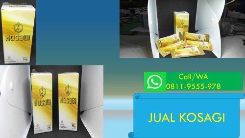 AMAN!!! CALL/WA 0811-9555-978 Suplemen Stamina Pria Herbal KOSAGI Karawang