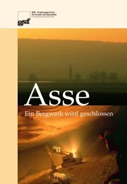 Asse - Ein Bergwerk wird geschlossen