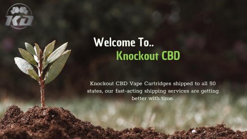 CBD Cartridge