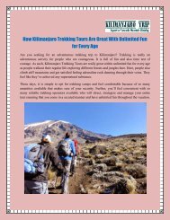 How Kilimanjaro Trekking Tours Are Great With Unlimited Fun for Every Age