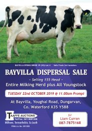 BAYVILLA SALE WEB