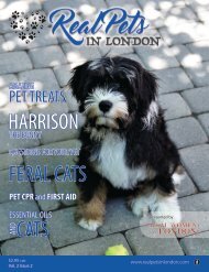 Real Pets in London 2020 Issue