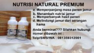 Nutrisi Jamur 