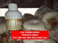 1 Pusat Produk Obat Penyubur Jamur Tiram Yogyakarta, Produsen Produk Nutrisi Jamur Tiram Yogyakarta, Distributor Produk Vitamin Perangsang Jamur Tiram Yogyakarta