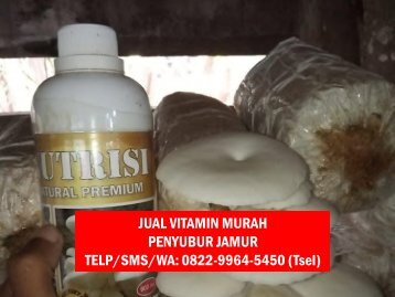 1 Pusat Produk Obat Penyubur Jamur Tiram Yogyakarta, Produsen Produk Nutrisi Jamur Tiram Yogyakarta, Distributor Produk Vitamin Perangsang Jamur Tiram Yogyakarta