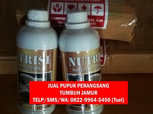 1 Pusat Produk Obat Penyubur Jamur Tiram Yogyakarta, Produsen Produk Nutrisi Jamur Tiram Yogyakarta, Distributor Produk Vitamin Perangsang Jamur Tiram Yogyakarta